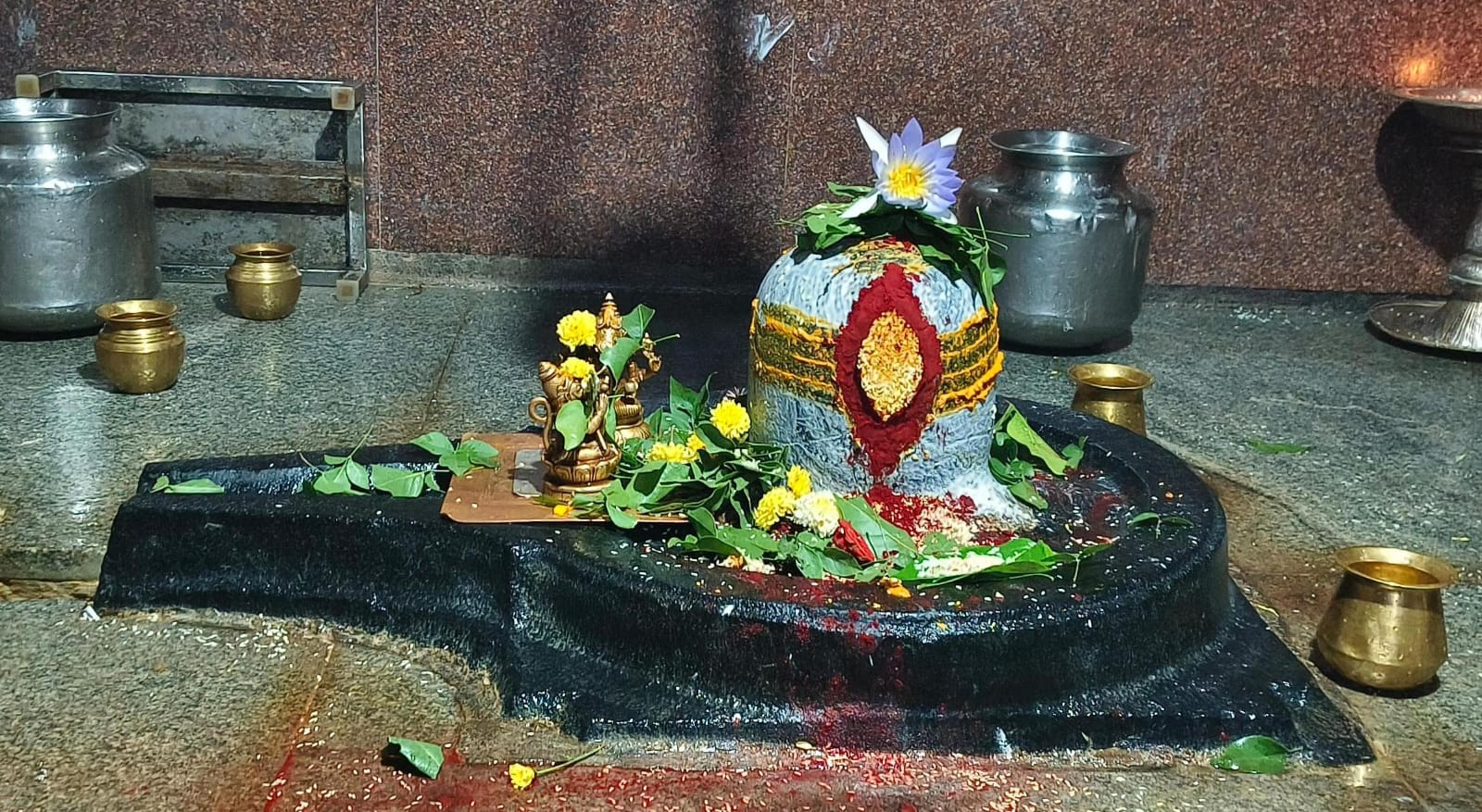 WhatsApp Image 2025-10-27 at 7.44.18 PM