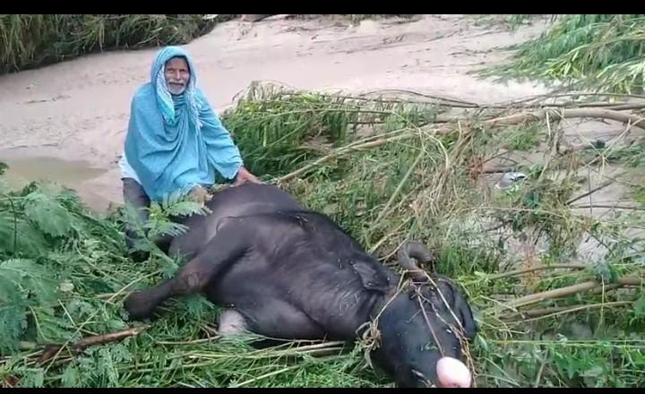 WhatsApp Image 2025-10-30 at 7.31.24 PM (1)