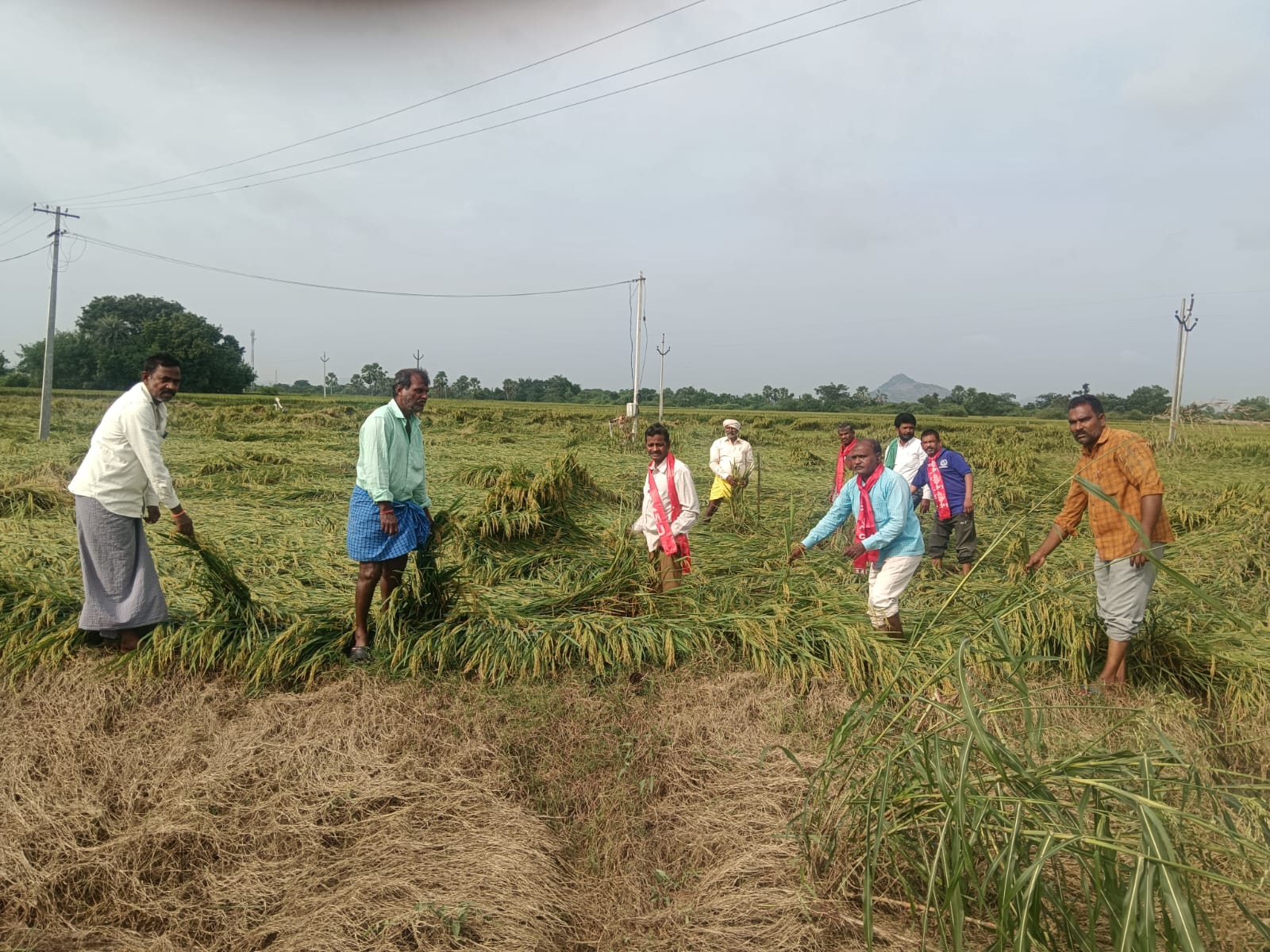 WhatsApp Image 2025-10-30 at 7.31.24 PM