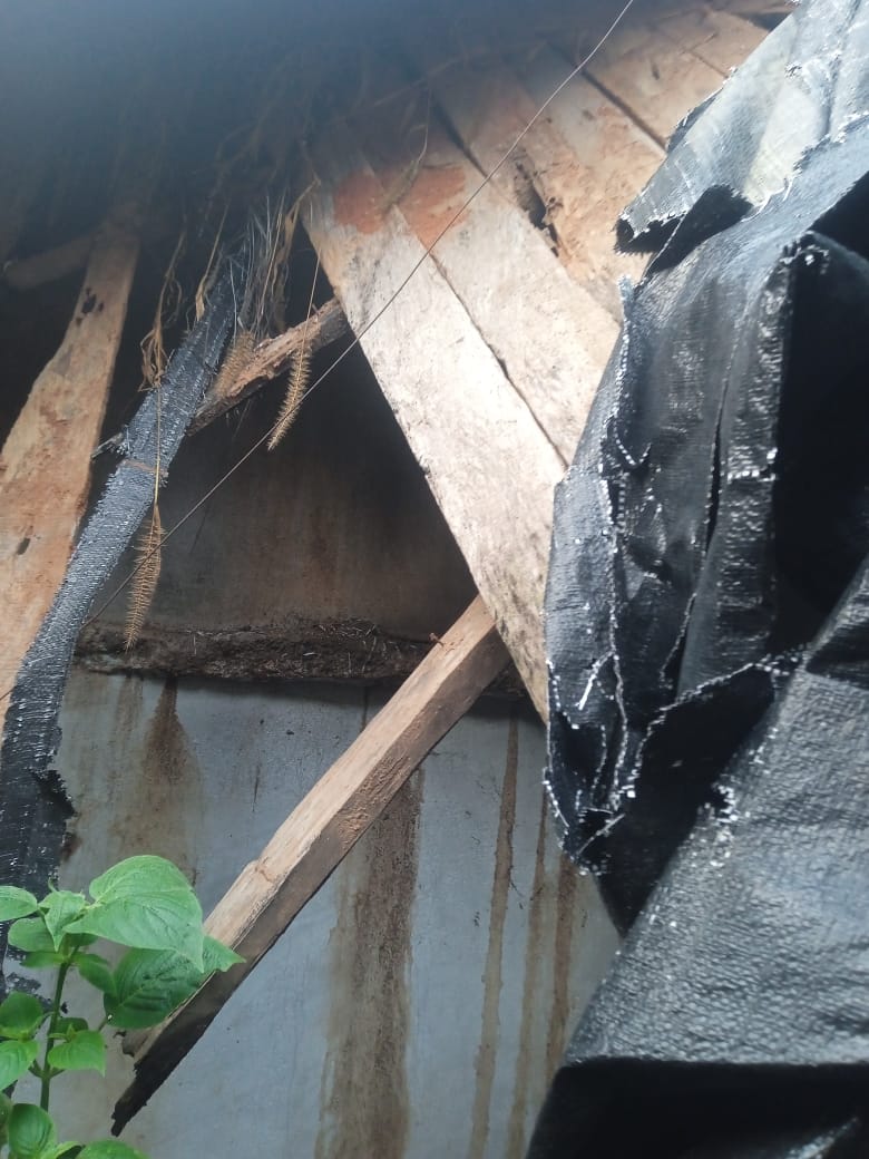 WhatsApp Image 2025-10-30 at 8.27.20 PM (2)