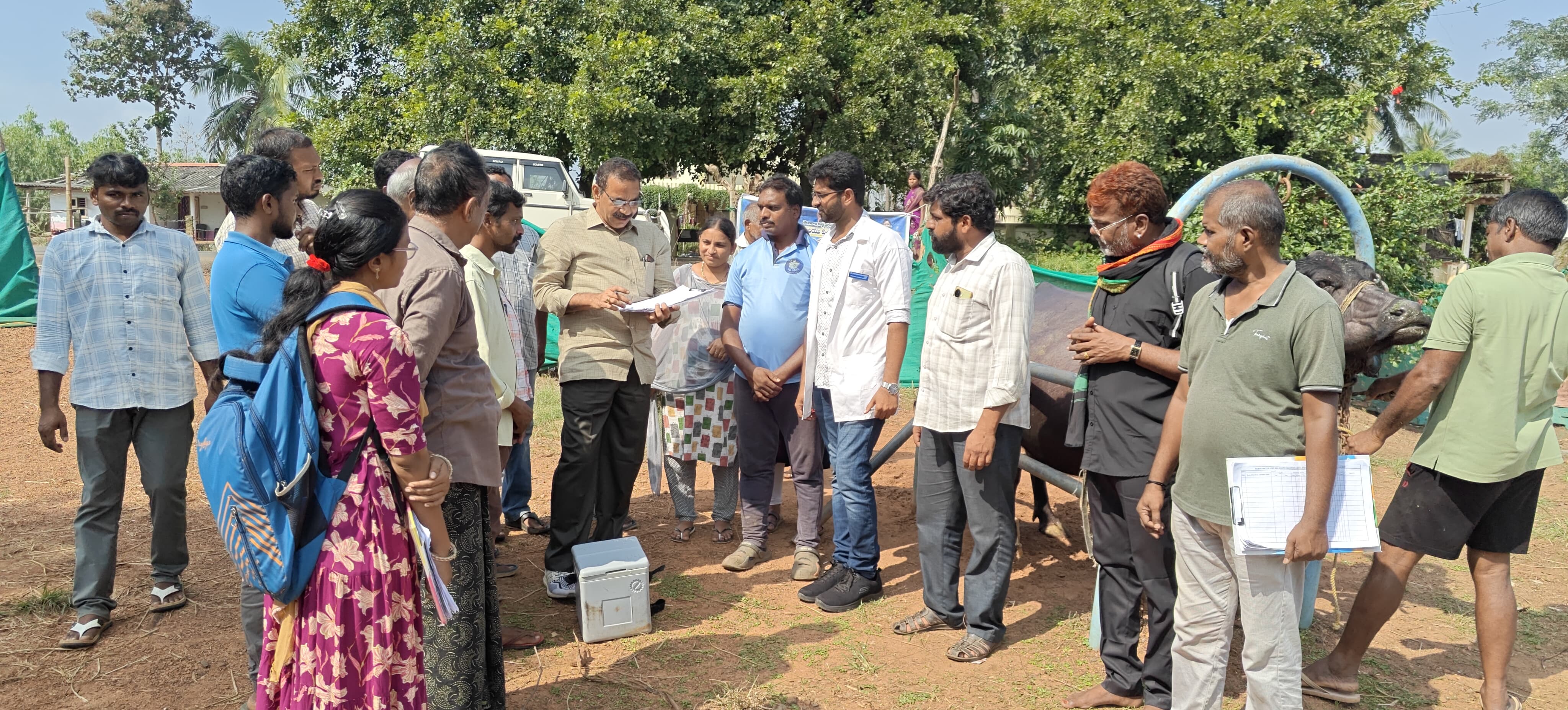 WhatsApp Image 2025-11-01 at 4.40.47 PM