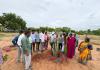 సమ్మక్క గద్దెలకు హరిత శోభ.. పండ్ల మొక్కలతో పచ్చధానానికి శ్రీకారం.