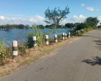 తెలంగాణ ముచ్చట్లు కథనానికి అధికారుల స్పందన