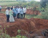 విద్యుత్ షాక్‌లో గేదెలు మృతి