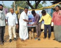 రైతులు ఉచిత నట్టల నివారణ మందులను సద్వినియోగం చేసుకోవాలి