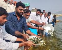 మత్స్య శాఖ ఆధ్వర్యంలో వెల్టూర్ చెరువులో చేప పిల్లల వదిలింపు
