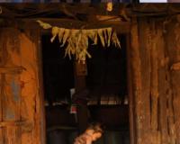 ఫోటోగ్రాఫర్ నవీన్ కి జాతీయ స్థాయి లో గోల్డ్ మెడల్