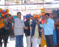 తెలుగుదనం ఉట్టిపడేలా విశ్వశాంతి విద్యాలయంలో సంక్రాంతి సంబరాలు.