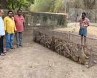 10వ వార్డులో కోతుల బెడదకు చెక్.!