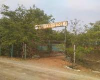 గ్రామానికి దూరంగా పల్లె ప్రకృతి వనం… 