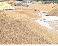 వరి కొనుగోలు కేంద్రాలు ఏర్పాటు ఎప్పుడూ?