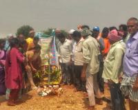 మడిపల్లిలో వరి ధాన్యం కొనుగోలు కేంద్రం ప్రారంభం.