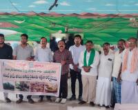 ఆయిల్ ఫామ్ పంటతో అధిక లాభాలు