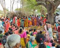 జూపాకలో పోచమ్మ తల్లి బోనాలు ఘనంగా నిర్వహణ.