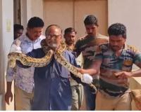 గిరిజన బాలికల వసతి గృహంలో కొండచిలువ కలకలం!