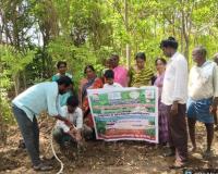 పర్యావరణ పరిరక్షణకు మొక్కలే మార్గం.