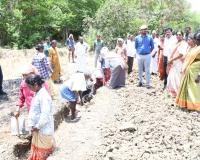 ఉపాధి హామీ పనులను ఆకస్మికంగా తనిఖీ చేసిన జిల్లా కలెక్టర్.