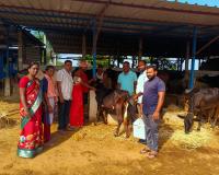 పశువుల ఆరోగ్యమే రైతు ఆర్థిక బలం.
