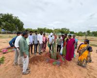 సమ్మక్క గద్దెలకు హరిత శోభ.. పండ్ల మొక్కలతో పచ్చధానానికి శ్రీకారం.