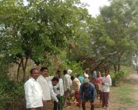 హరిత బావుపేట నిర్మాణానికి శ్రీకారం.