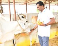 ప్రజాసేవతో పాటు వ్యవసాయానికీ సమాన ప్రాధాన్యం.