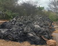 గడ్డి వాము దగ్ధం చేసిన వ్యక్తిపై కేసు నమోదు.