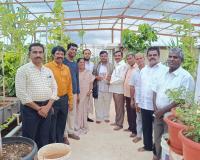 ప్రకృతిని ప్రేమించడం ఒక కళ.