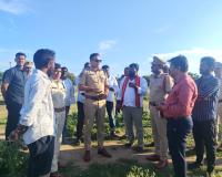 నాయిని చెరువులో గణేష్ నిమజ్జనానికి పరశీలన.