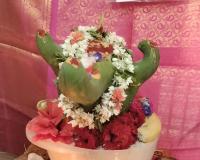 ఘనపూర్‌లో అద్భుతం.. బొప్పాయి కాయలో వినాయకుడి రూపం.