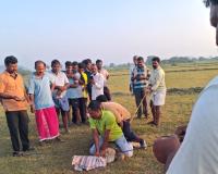 పెద్దమందడిలో పంట పొలాల్లో ముసలి కలకలం.