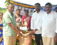 పల్లగుట్టలో ఐకేపీ కేంద్రం ప్రారంభం.