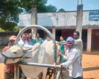 పశు వైద్య శిబిరాలు సద్వినియోగం చేసుకోవాలి .