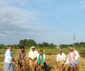 తుఫాన్ బాధిత రైతులను  ప్రభుత్వం ఆదుకోవాలి 